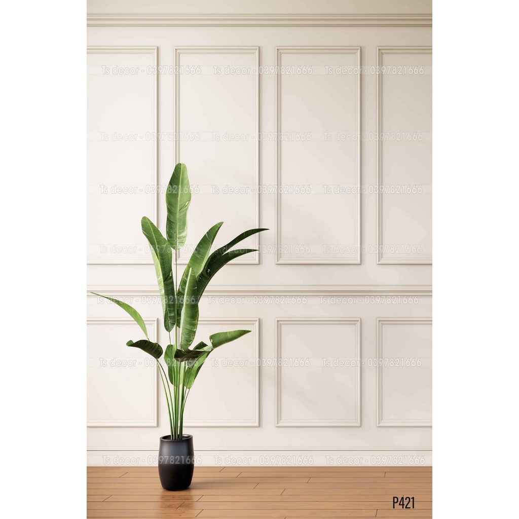 Phông/background Livestream 3D 5D siêu xinh, siêu chất lượng