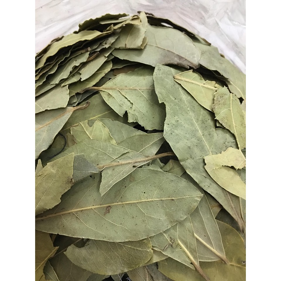 Lá Nguyệt Quế Khô Bay Leaf 100gr