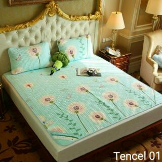 Chiếu teccel chuẩn m6*2m