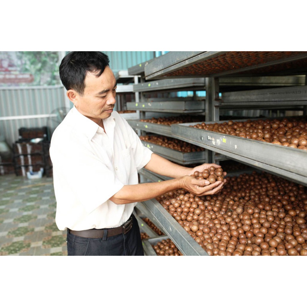 500g Hạt Macca Sạch Di Linh Lâm Đồng