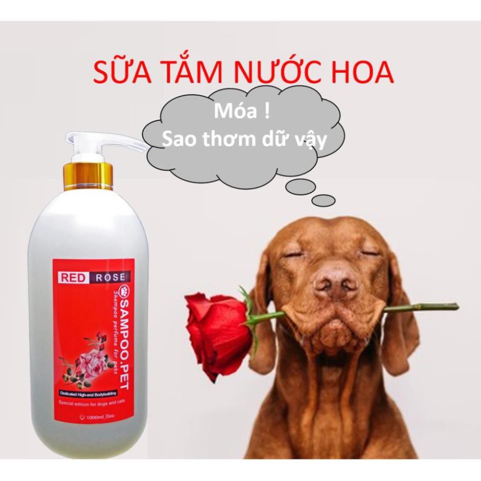 Sữa tắm chó mèo SAMPOO.PET loại sữa tắm nước hoa cho thú cưng thơm tho 22h và mượt lông