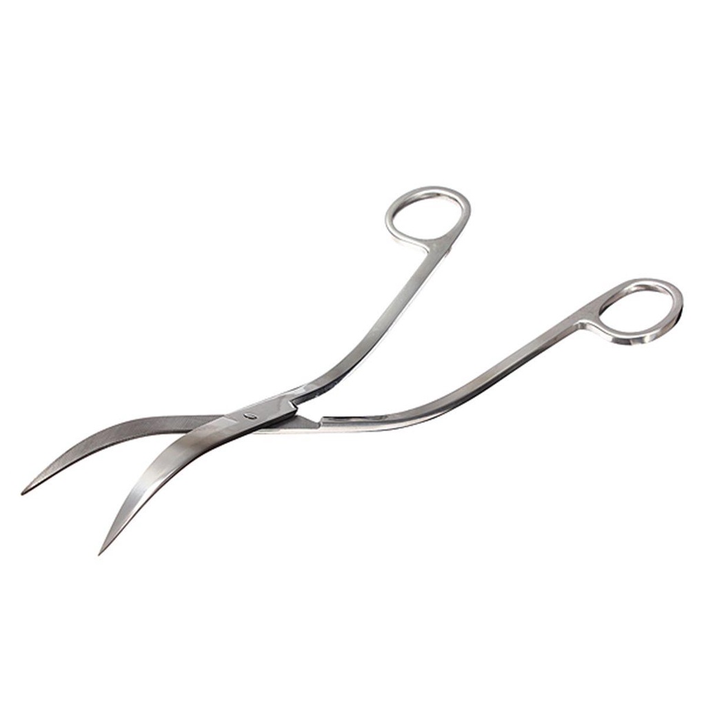 Kéo Cắt Kính Thủy Tinh Bảo Trì Thủy Tinh Bằng Thép Không Gỉ 25cm