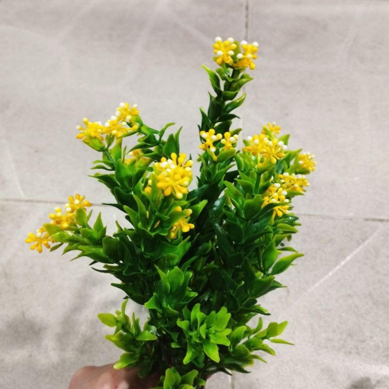 Nhánh thông trang trí hồ bò sát, ốc cảnh. OMH Biên Hòa.