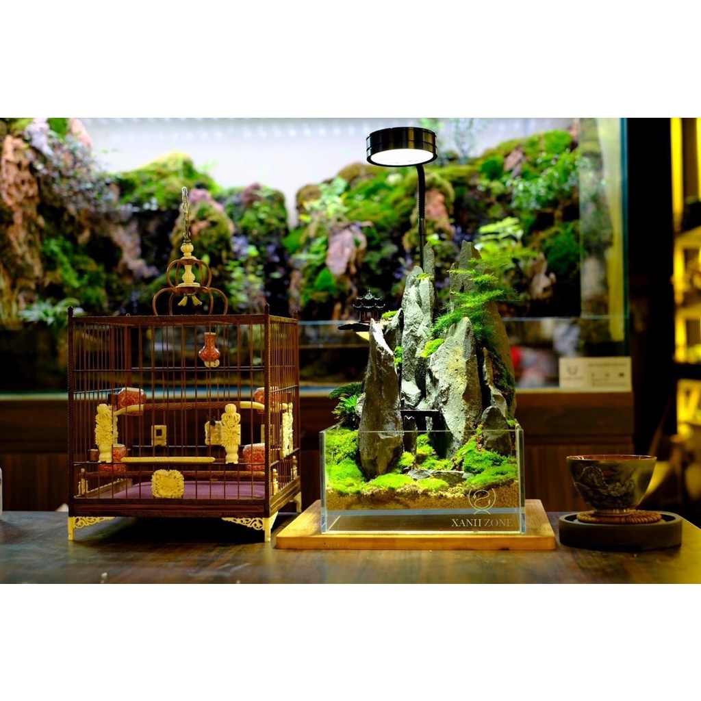 Đá bậc thang set hồ bán cạn, terrarium