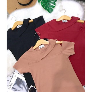 Áo thun kiểu thun bozip siêu co giãn ôm dáng