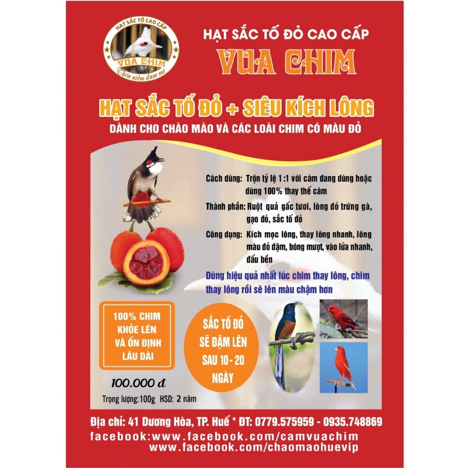 kích đỏ cho chào mào