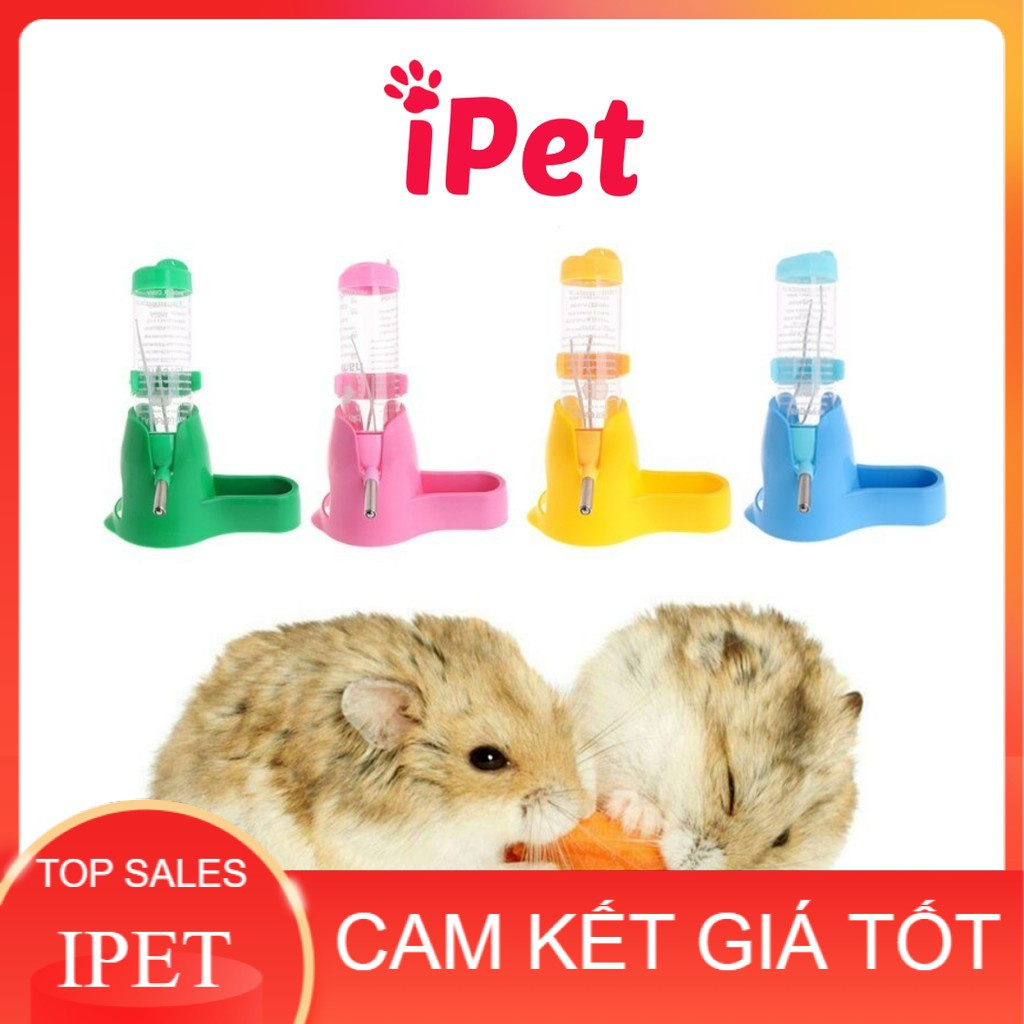 Phụ Kiện Hamster - Đế Đựng Bình Nước Cho Hamster 3in1, 2in1 - iPet Shop