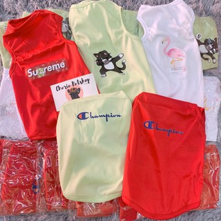 Áo thun hot trend siêu đẹp rẻ - chọn mẫu nakha