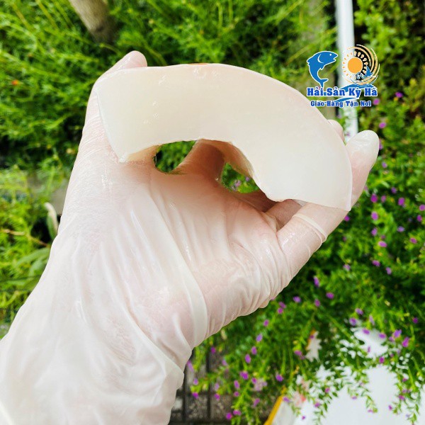 Giá Sỉ - Mực Lá Đại Dương Cắt Lát - Giá Sỉ Rẻ Nhất