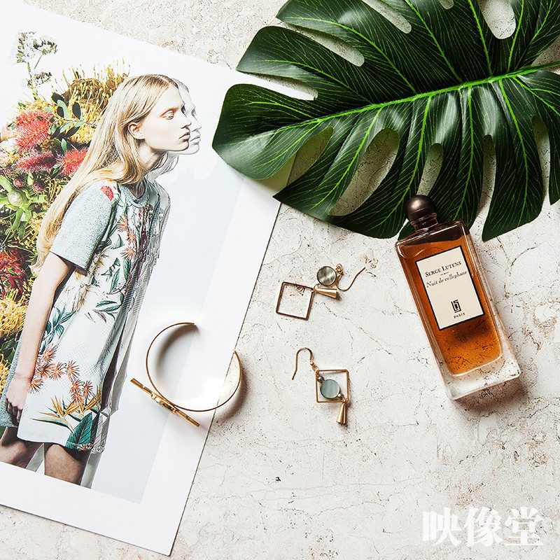 Tổng Hợp Các Mẫu Lá Cây Phụ Kiện Chụp Ảnh Mới Nhất 2020