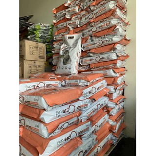 Thức ăn hạt cho mèo Catsrang Catpy Cat's on dành cho mọi lứa tuổi bao 5kg