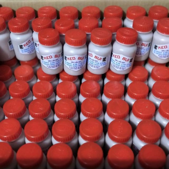 Keo siêu liền sẹo da cây( Keo bụi)