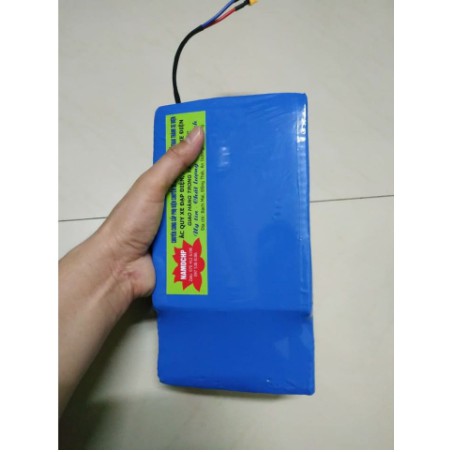 HOT.Siêu khủng Khối pin Lithium 48v20ah , chuyên dùng cho xe đạp điện, xe điện 48v các loại, kèm sạc pin