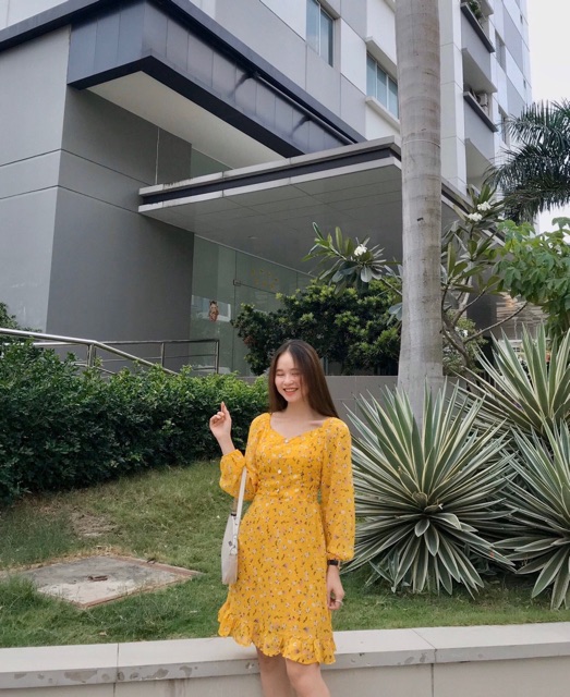 ĐẦM HOA NHÍ CHÂN BÈO