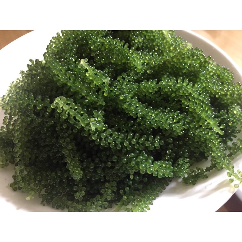 1kg chia 10 bịch rong nho tách nước thượng hạng đạt tiêu chuẩn xuất khẩu