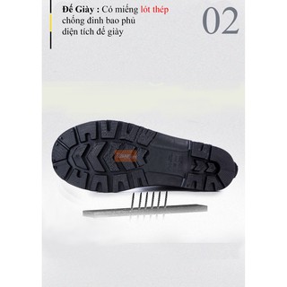 Giày bảo hộ Jogger Hercules