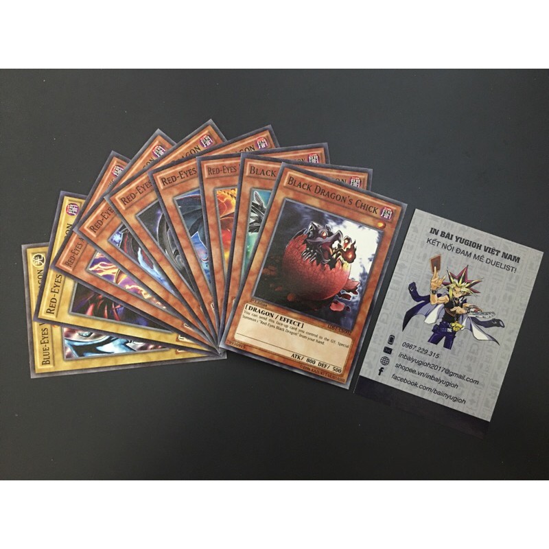 [BÀI IN] Bài in YugiOh theo yêu cầu giá rẻ - Bộ bài YugiOh