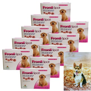 COMBO 10 HỘP FRONIL SPOT NHỎ GÁY TRỊ VE RẬN BỌ CHÉT CHÓ MÈO