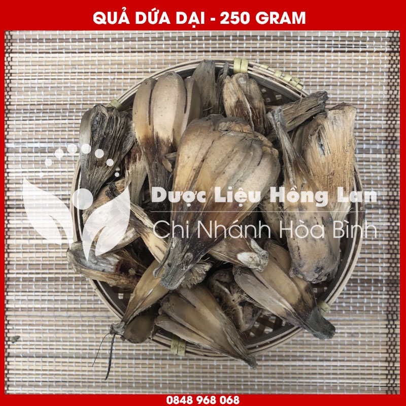 Quả Dứa Dại (Dứa rừng) khô sạch loại 1 - Hàng Chính Hãng