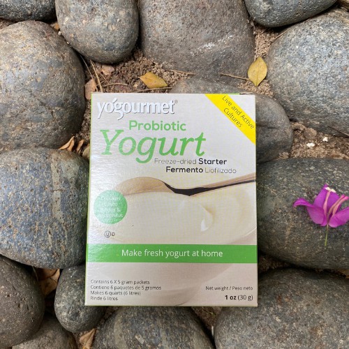 Men làm sữa chua Probiotic 18gr