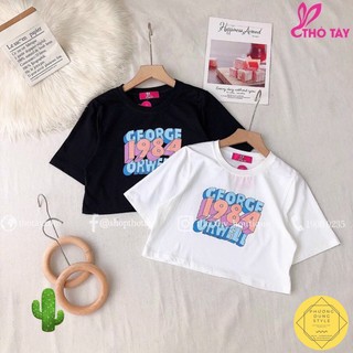 Áo thun croptop in 1984 thun porip