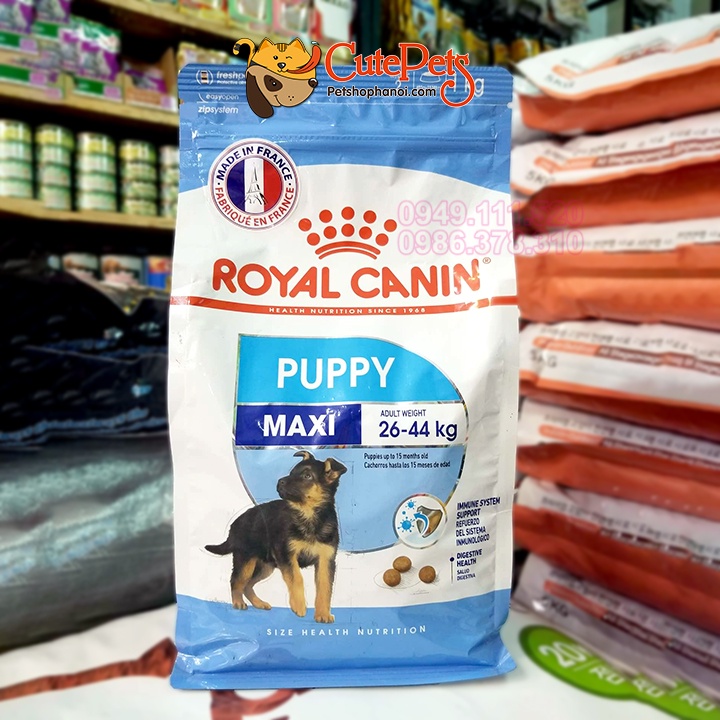 Hạt cho chó lớn Royal Canin Maxi Puppy 1kg - Phụ kiện thú cưng Hà Nội