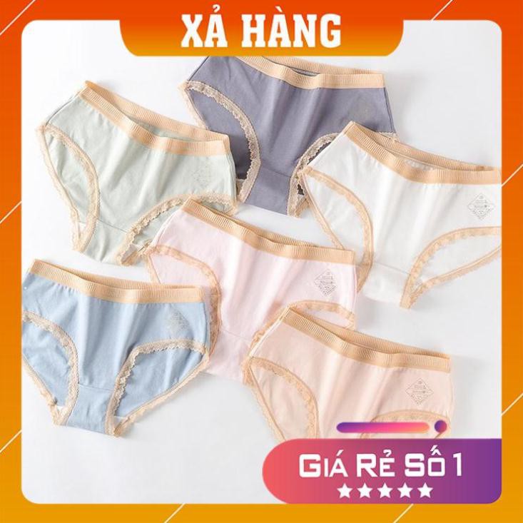 [Giá huỷ diệt] Quần Lót Cotton Royal Kháng Khuẩn Chống Viêm Nhiễm CT-04 cao cấp | BigBuy360 - bigbuy360.vn