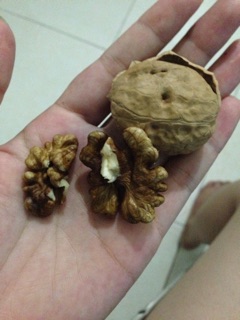 1kg óc chó SaPA sấy khô