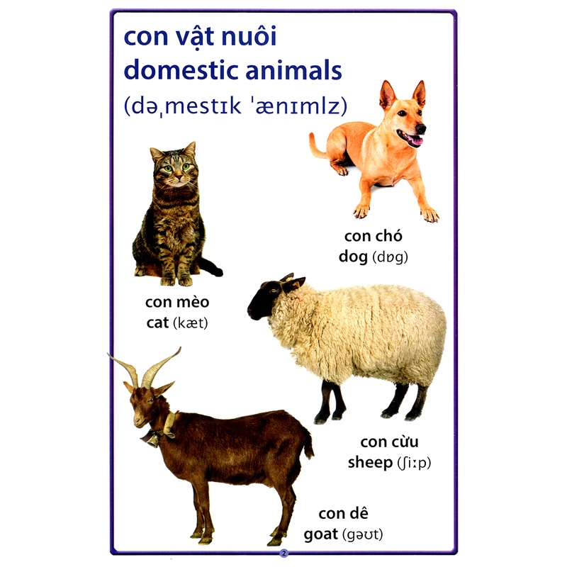 Sách - Cuốn Sách Lớn Đầu Tiên Của Tôi - Về Động Vật
