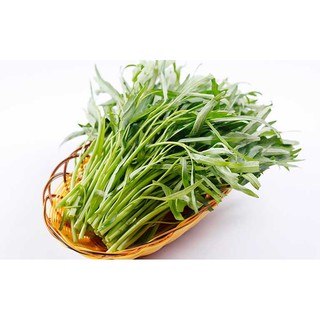 hạt giống cây rau muống cao sản 50gr
