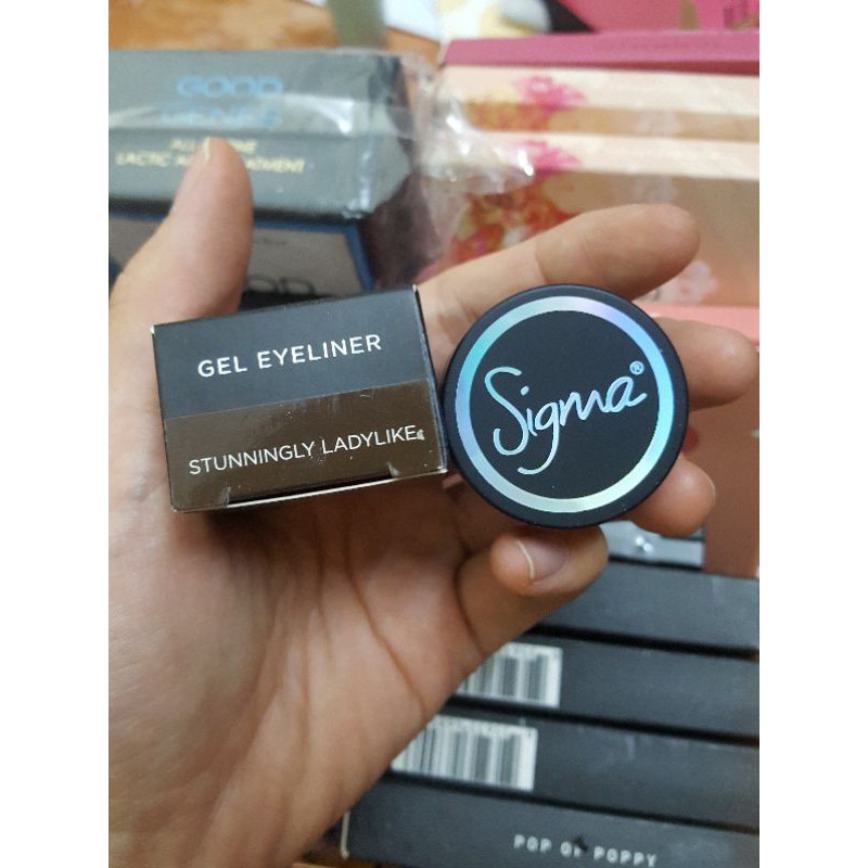 SALE 70% - Cọ makeup chuyên nghiệp Sigma