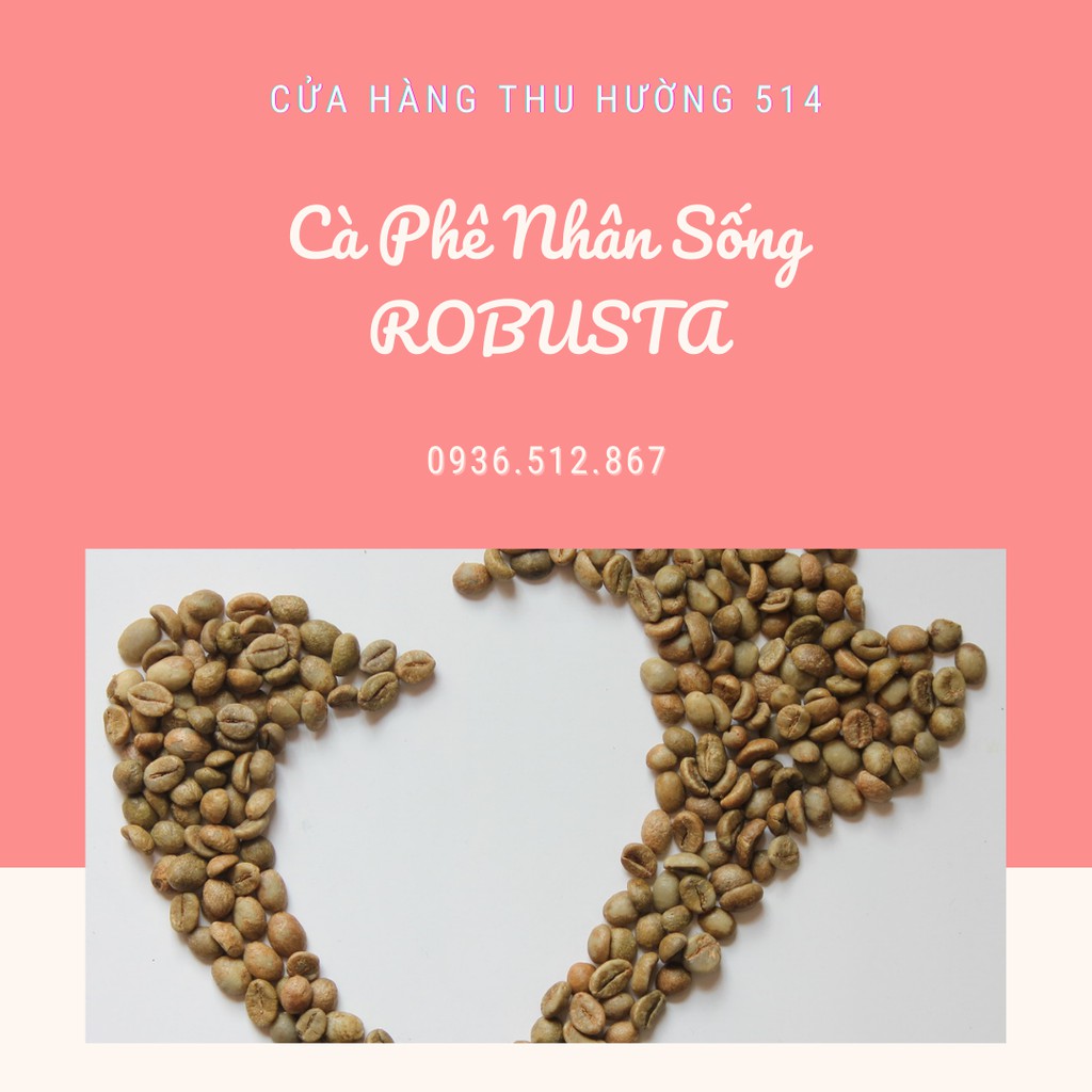 ☕ Cà Phê Nhân Sống ROBUSTA - Chưa Rang - Nguyên Liệu Sạch ( 1KG )