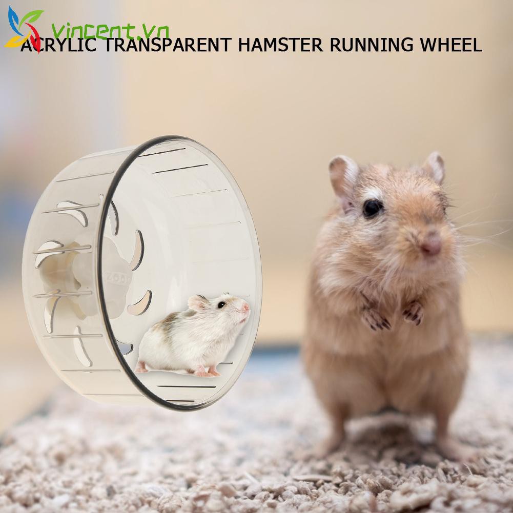 Bánh Xe Trong Suốt Cho Chuột Hamster Chạy Bộ