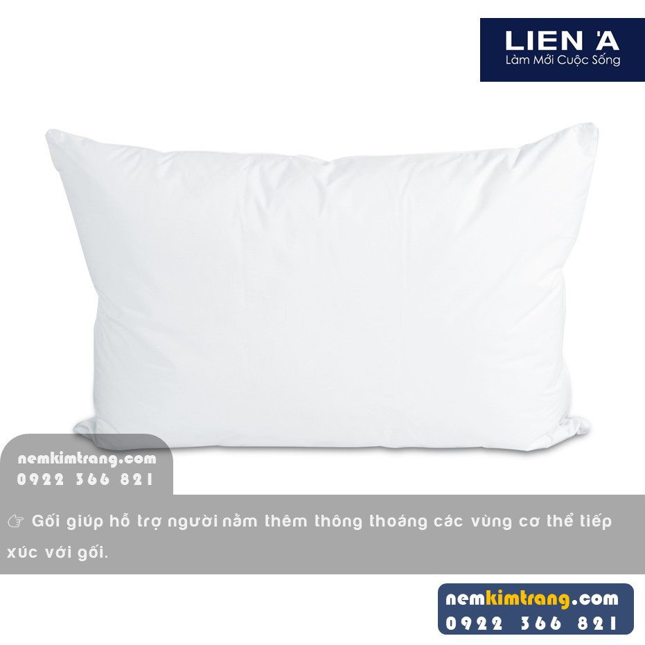 Gối gòn tơ tằm MLiving Liên Á - MICROFIBER, CHÍNH HÃNG