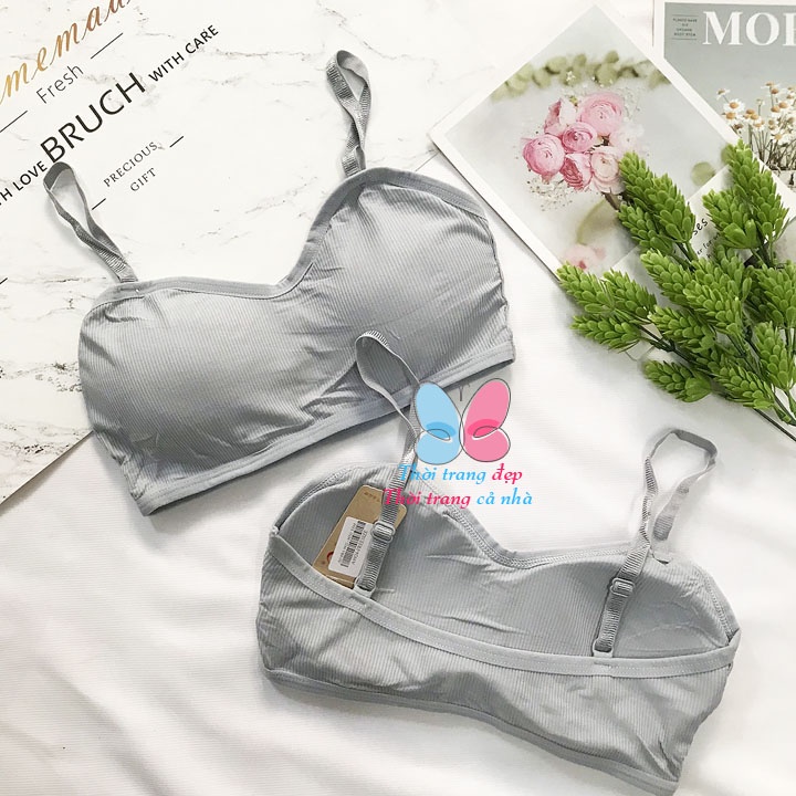 Áo bra ống phối 2 dây thun cotton tăm gân co giãn - bra9922 | WebRaoVat - webraovat.net.vn