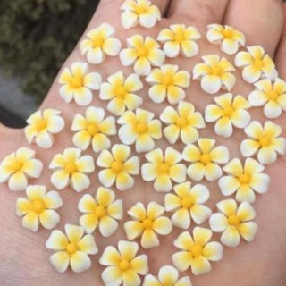 Hoa bột vẽ dán móng hoa ôm đá hàng vẽ sẳn HN050