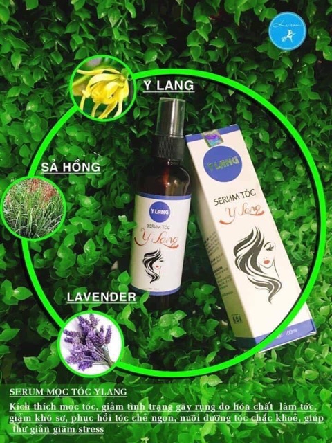 ComBo Trị Rụng Tóc Kích Thích Tóc Mọc Y Lang | BigBuy360 - bigbuy360.vn