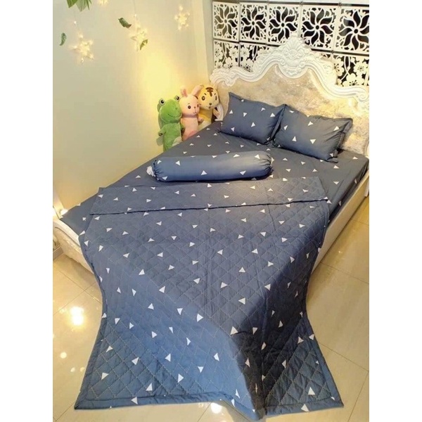 Bộ Chăn Ga Gối Mùa Hè 5 Món Cotton Poly ( Mẫu Kẻ )