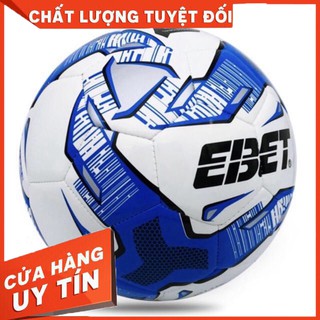 Quả bóng đá Động Lực may (nhiều màu)