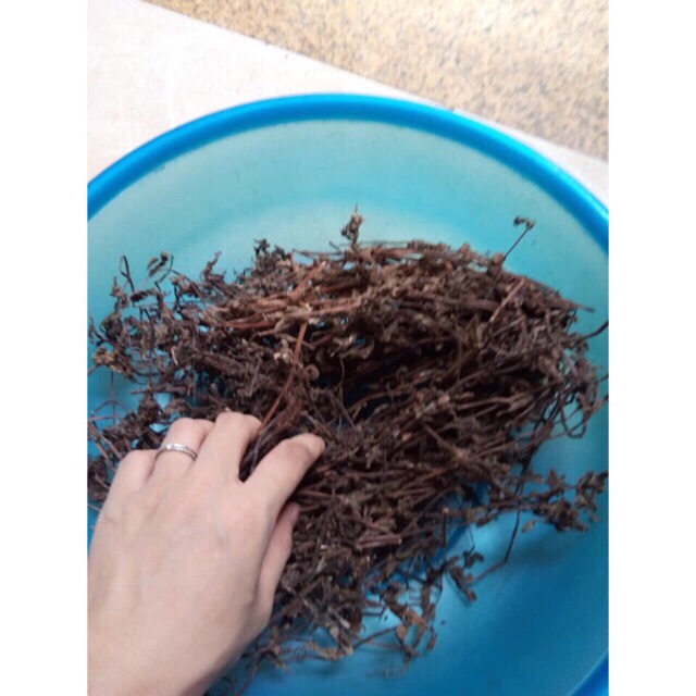 1kg Cây sương sáo khô làm thạch đen