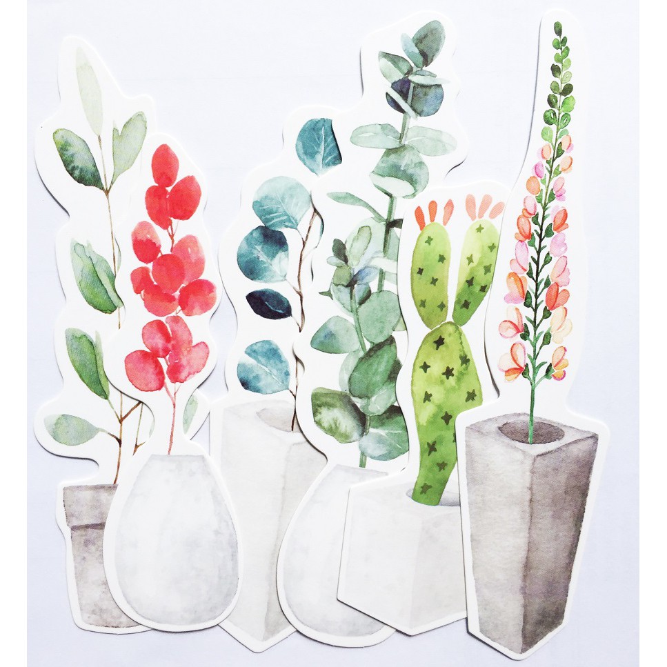 Hộp 30 Bookmark Đánh Dấu Sách Khu Vườn Bí Mật MR-BM0060