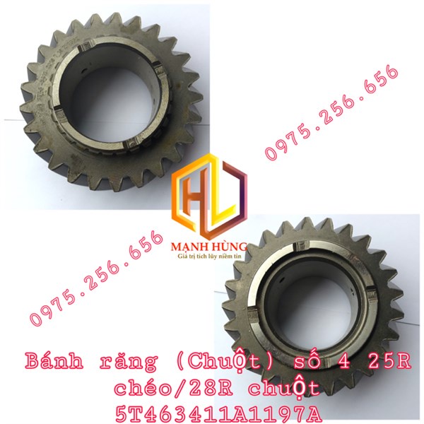 Bánh Răng (chuột) số 4 25R chéo/28R chuột TH8T3 Cầu dầu phụ tùng ô tô phụ tùng Hùng Lỳ