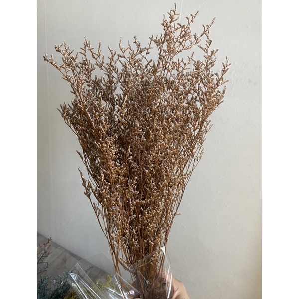 Bó Hoa Sao Đuôi Công Khô, Sao Tình Nhân, Sao Khô Hàng Loại 1