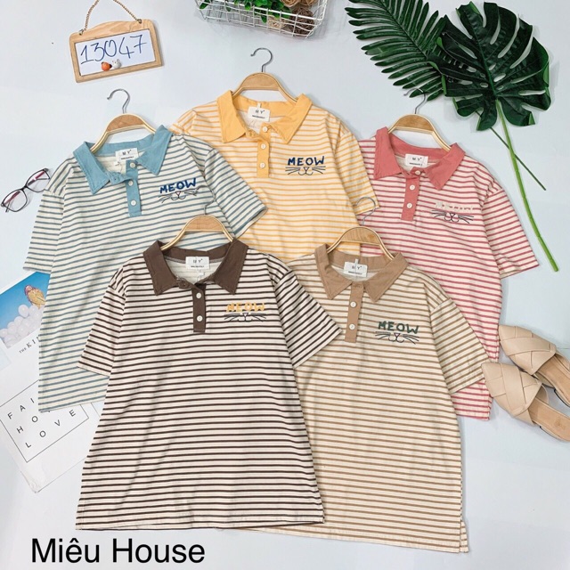 Áo thun kẻ sọc có cổ thêu cute