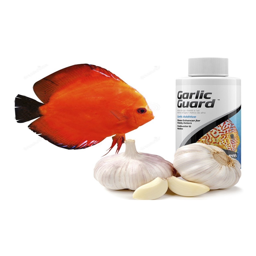 HỖ TRỢ TIÊU HÓA SEACHEM GARLIC GUARD 100ml 250ml