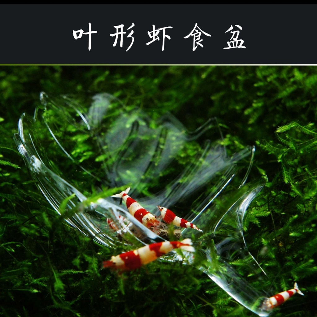 Khay đựng thức ăn tép