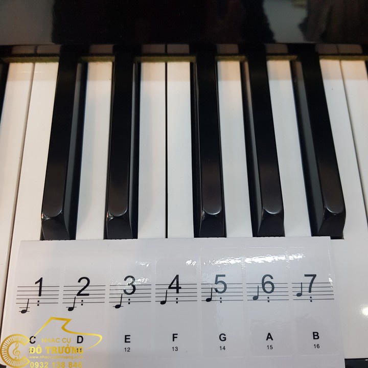 🔮Dán phím đàn Piano, Sticker dán bàn phím đàn Piano tiện lợi