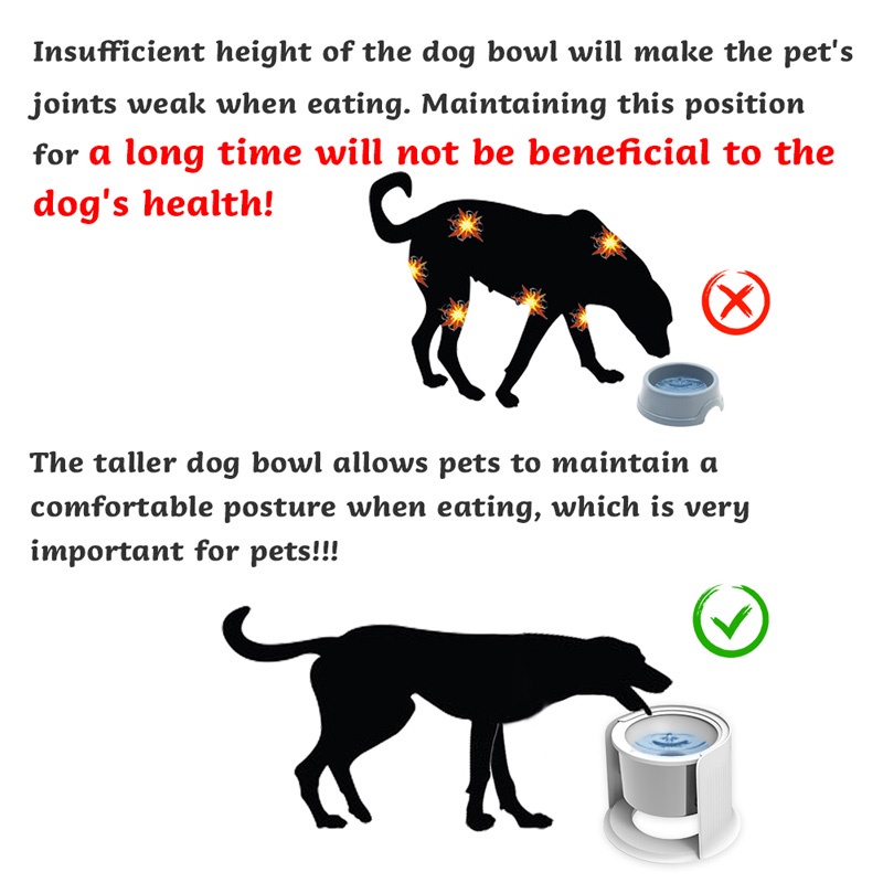 HamshMoc Tô đựng thức ăn nước uống bằng thép điều chỉnh chiều cao chống trượt cho thú cưng