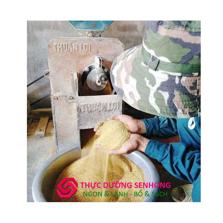 Hạt kê nếp Nghệ An (500gr) giống thuần chủng non-GMO | BigBuy360 - bigbuy360.vn