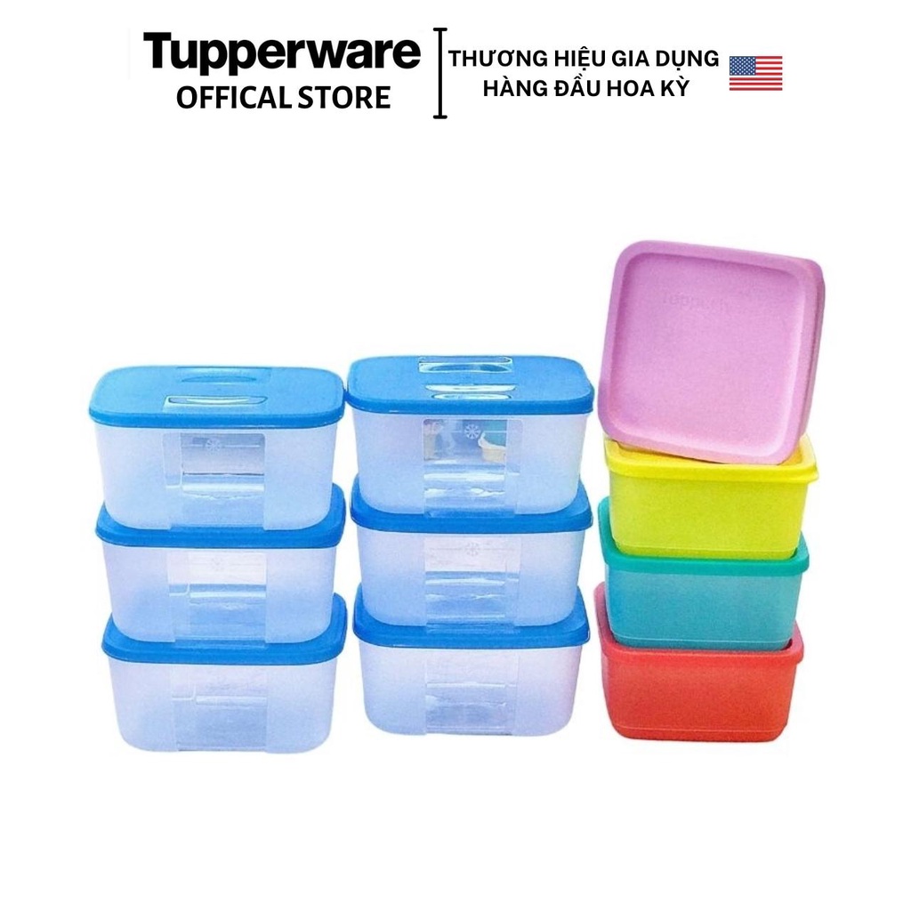 Bộ hộp trữ đông, trữ mát Tupperware Freezermate và Small Summer 650ml (10 hộp) - Hàng chính hãng - Bảo hành trọn đời